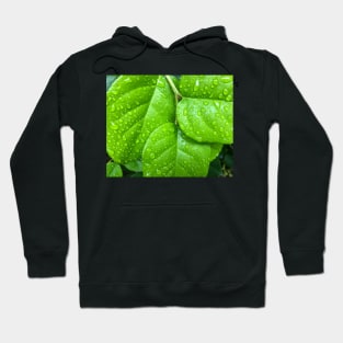 Greening of the World Hoodie